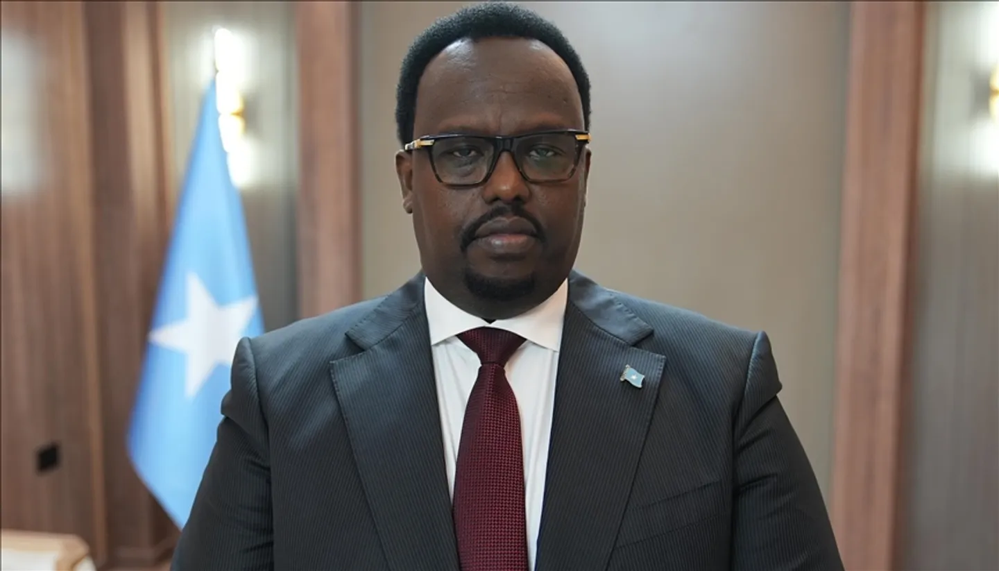 Somali people show 'great resilience' in fighting Al Shabab terrorists: Deputy PM Jama