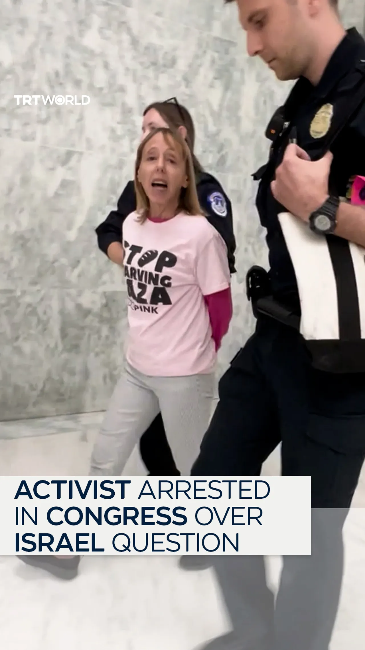 Activist arrested in Congress over Israel question