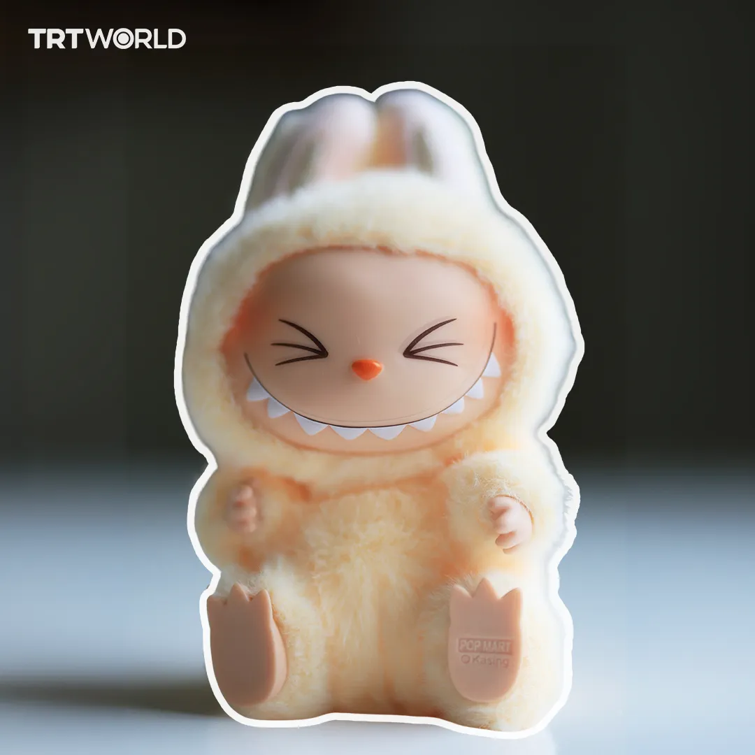 Why Labubu Is More Than Just A Toy Craze?