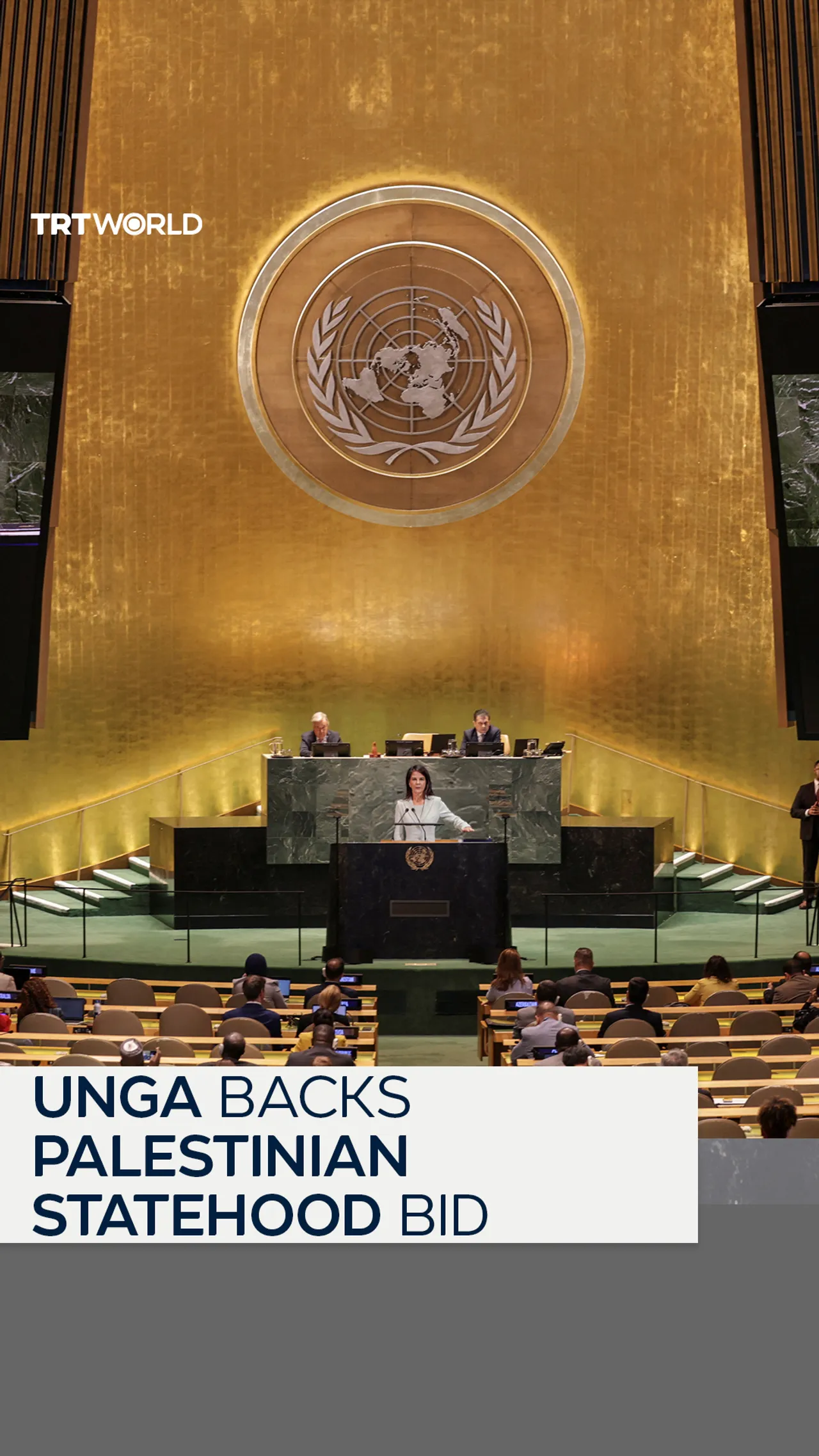 UNGA backs Palestinian statehood bid