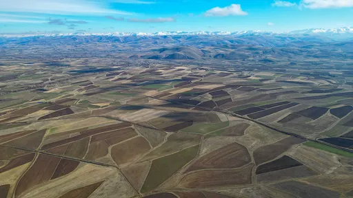 صنعت بذر ترکیه در مسیر ورود به جمع پنج کشور برتر جهان