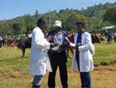 Curse to cure: Kenya becomes 10th African nation to conquer sleeping sickness