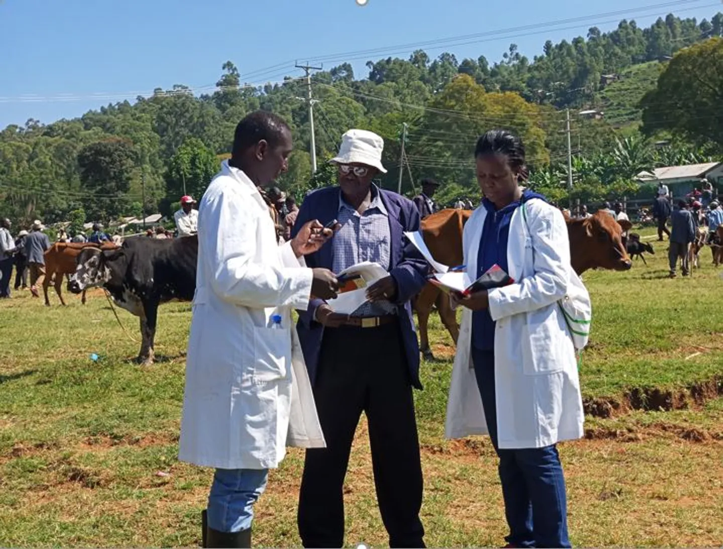 Curse to cure: Kenya becomes 10th African nation to conquer sleeping sickness