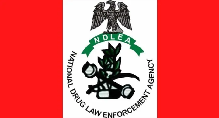 Kotu ta ba wa NDLEA damar tsare jirgin ruwa da ma’aikatansa 21 kan dakon hodar ibilis daga Brazil