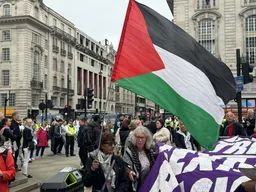 'Together for Palestine': Celebrities unite in video ahead of Palestine fundraising concert