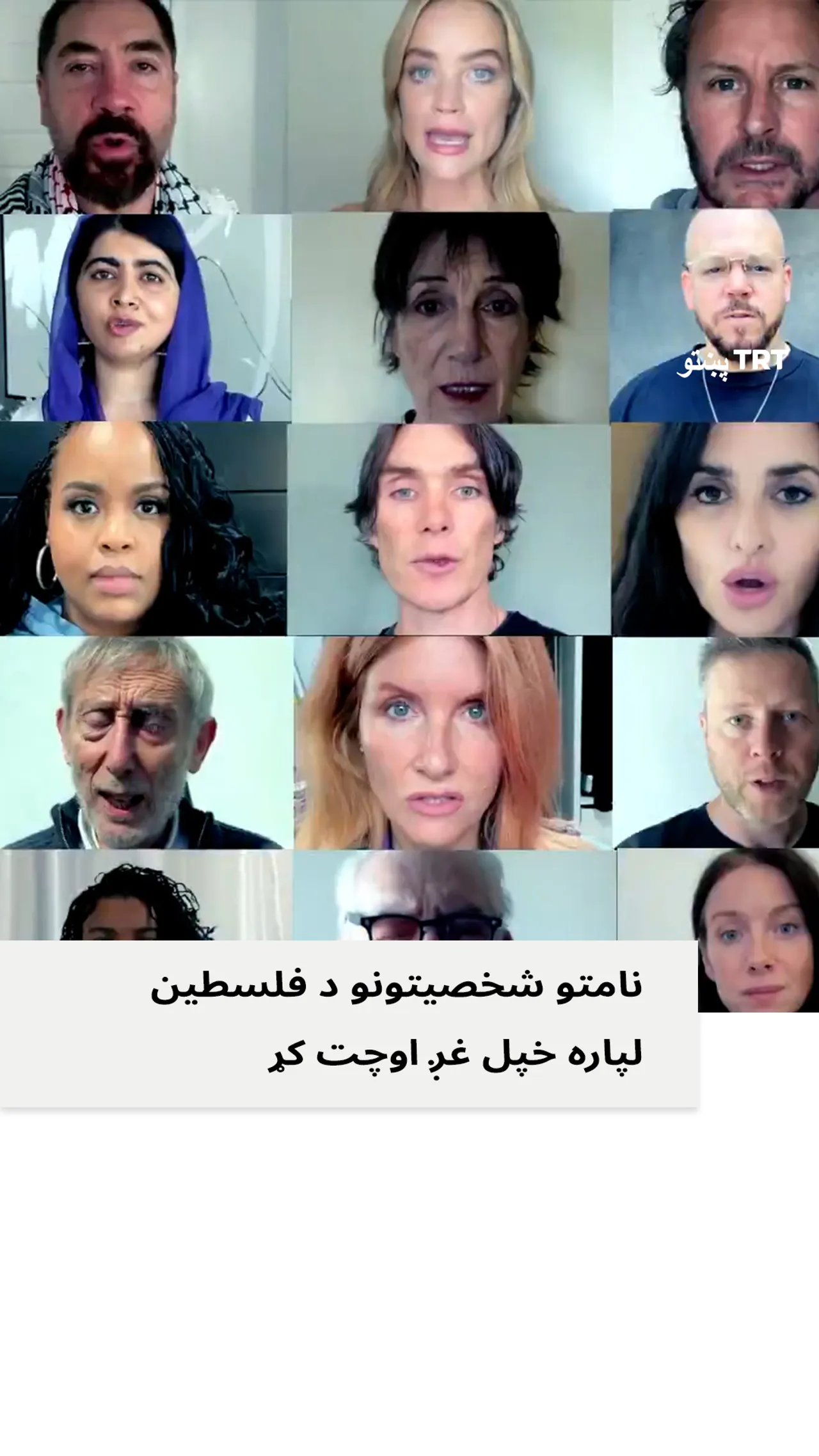 نامتو شخصیتونو د فلسطین لپاره خپل غږ اوچت کړ .