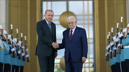 Erdoğan: Türkiye do të vazhdojë ta ngrejë çështjen palestineze në çdo forum