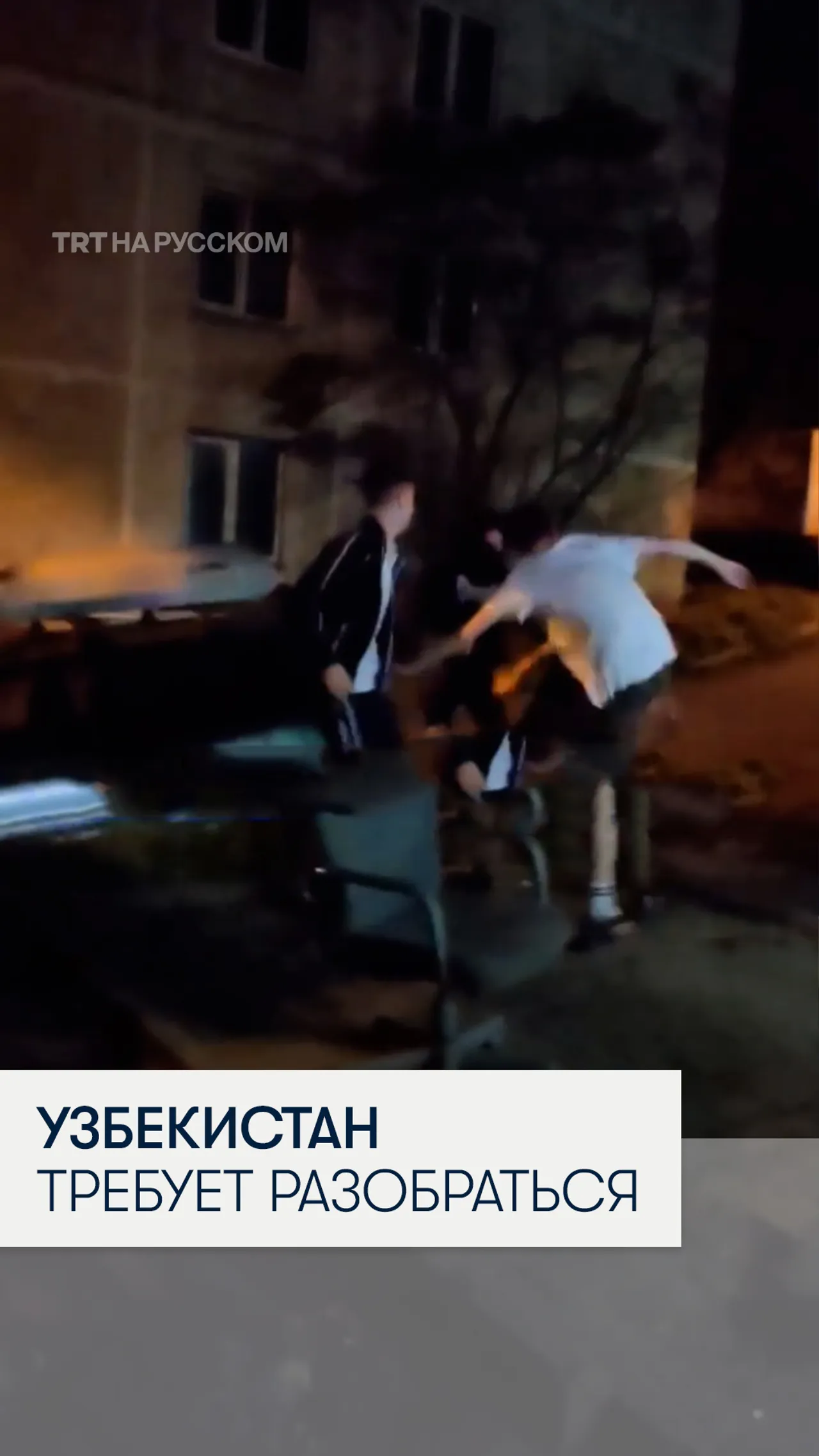 Узбекистан направил ноту России из-за нападений на своих граждан во Владивостоке