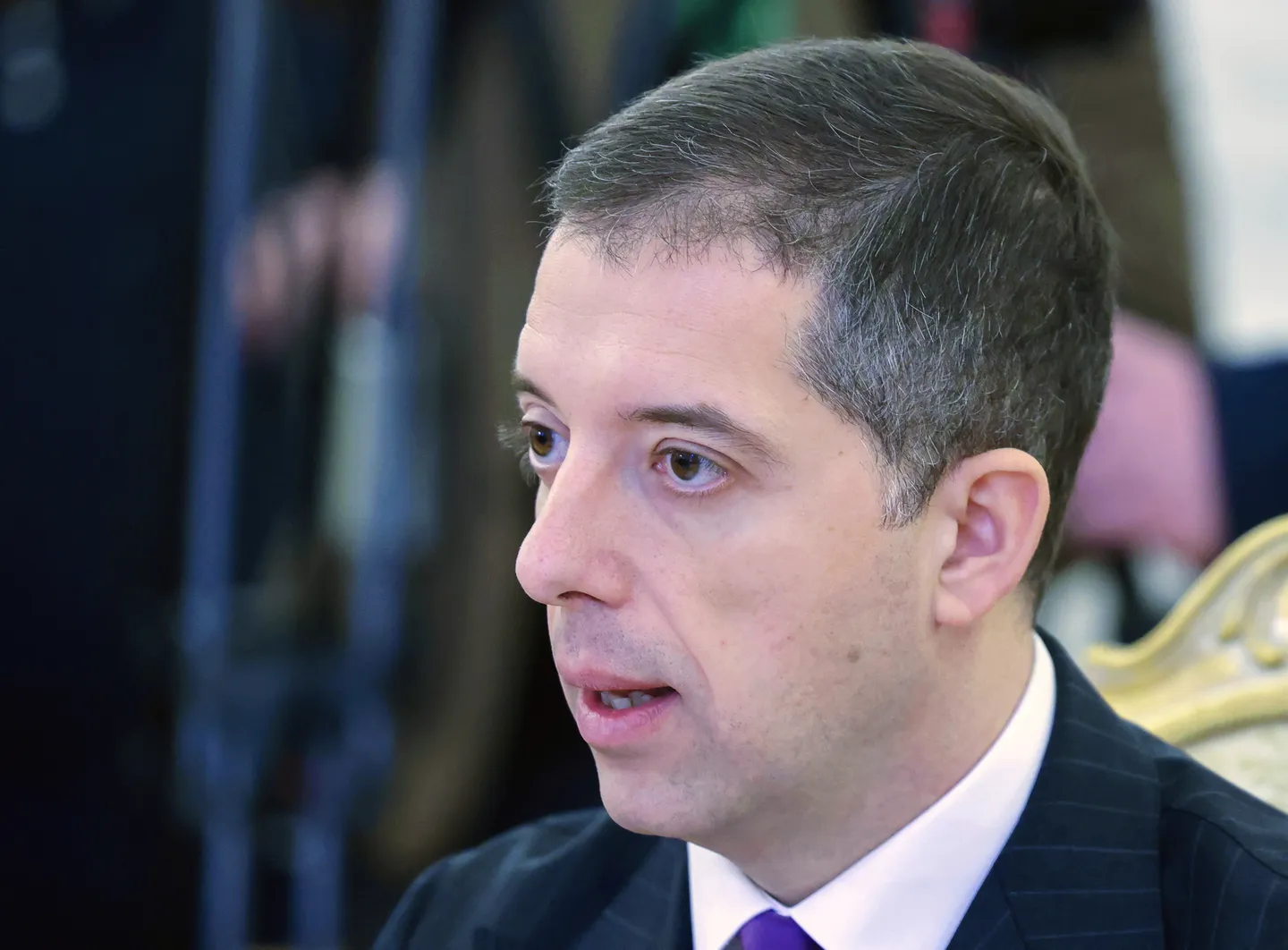Đurić na Bledskom strateškom forumu: Treba da se poštujemo, a svako treba da počisti u svom dvorištu