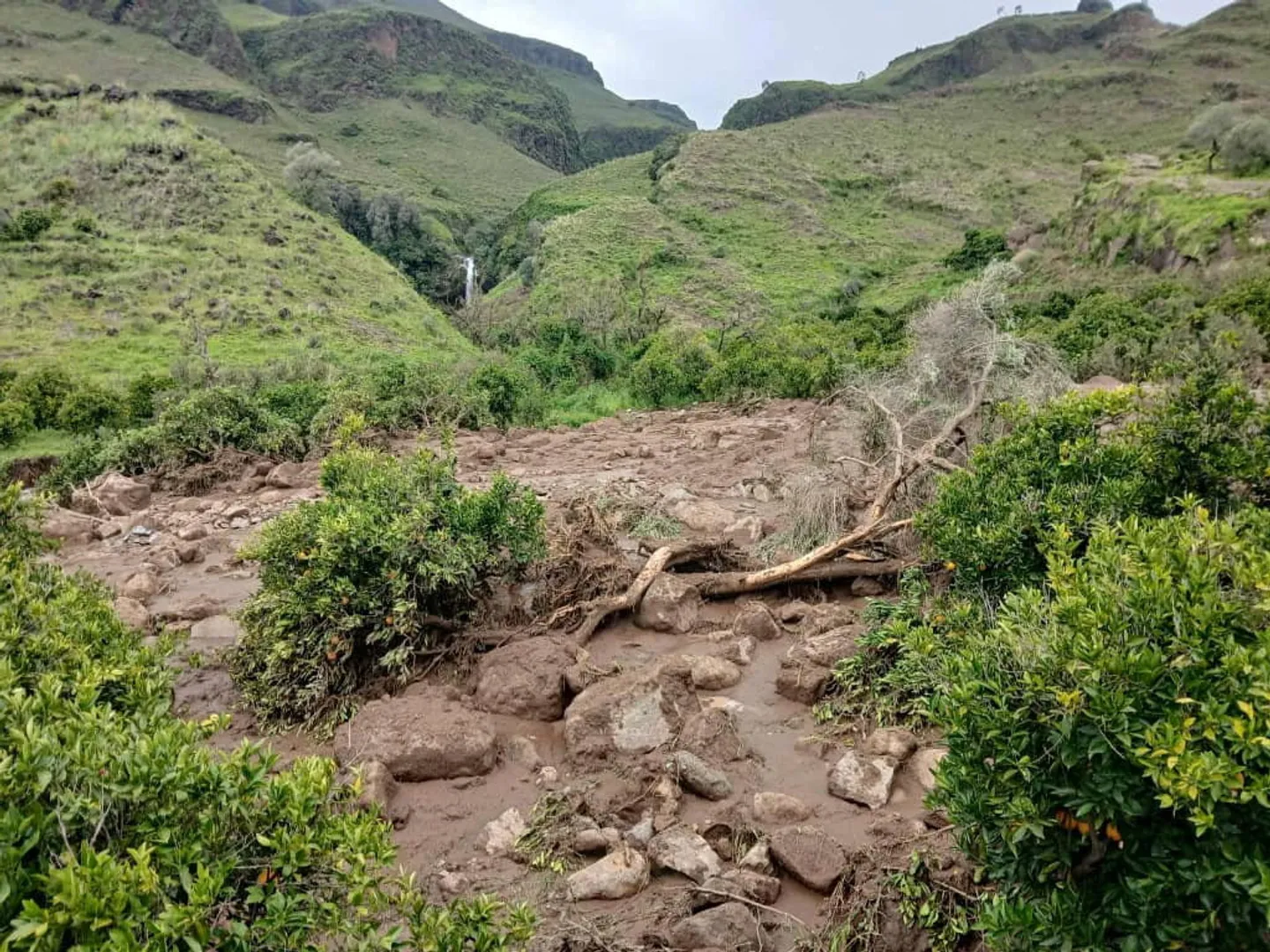رانش زمین در سودان دست‌کم هزار کشته برجای گذاشت
