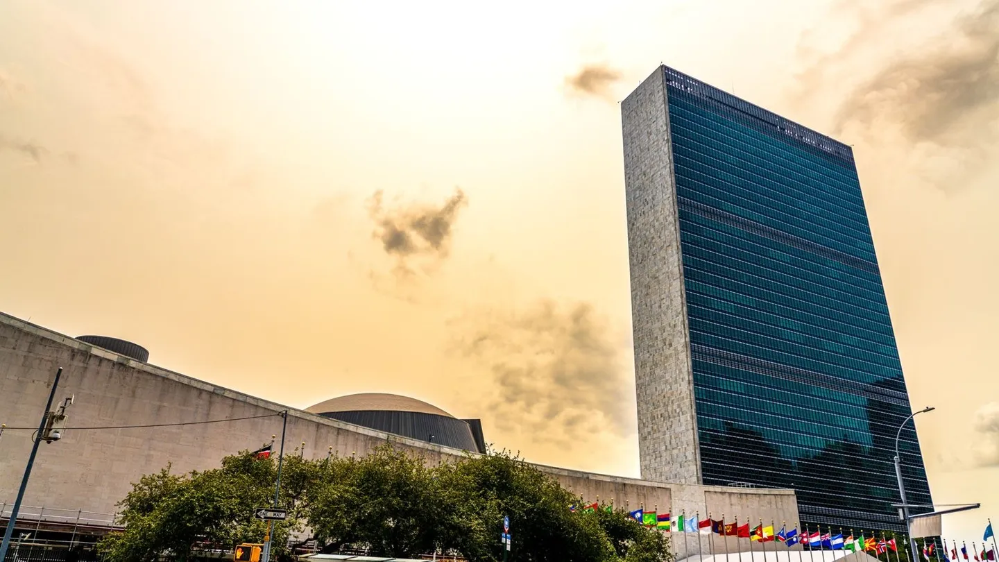 The UN at 80: Reflections from a Field Worker