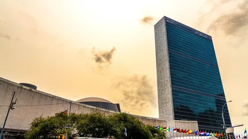 The UN at 80: Reflections from a Field Worker