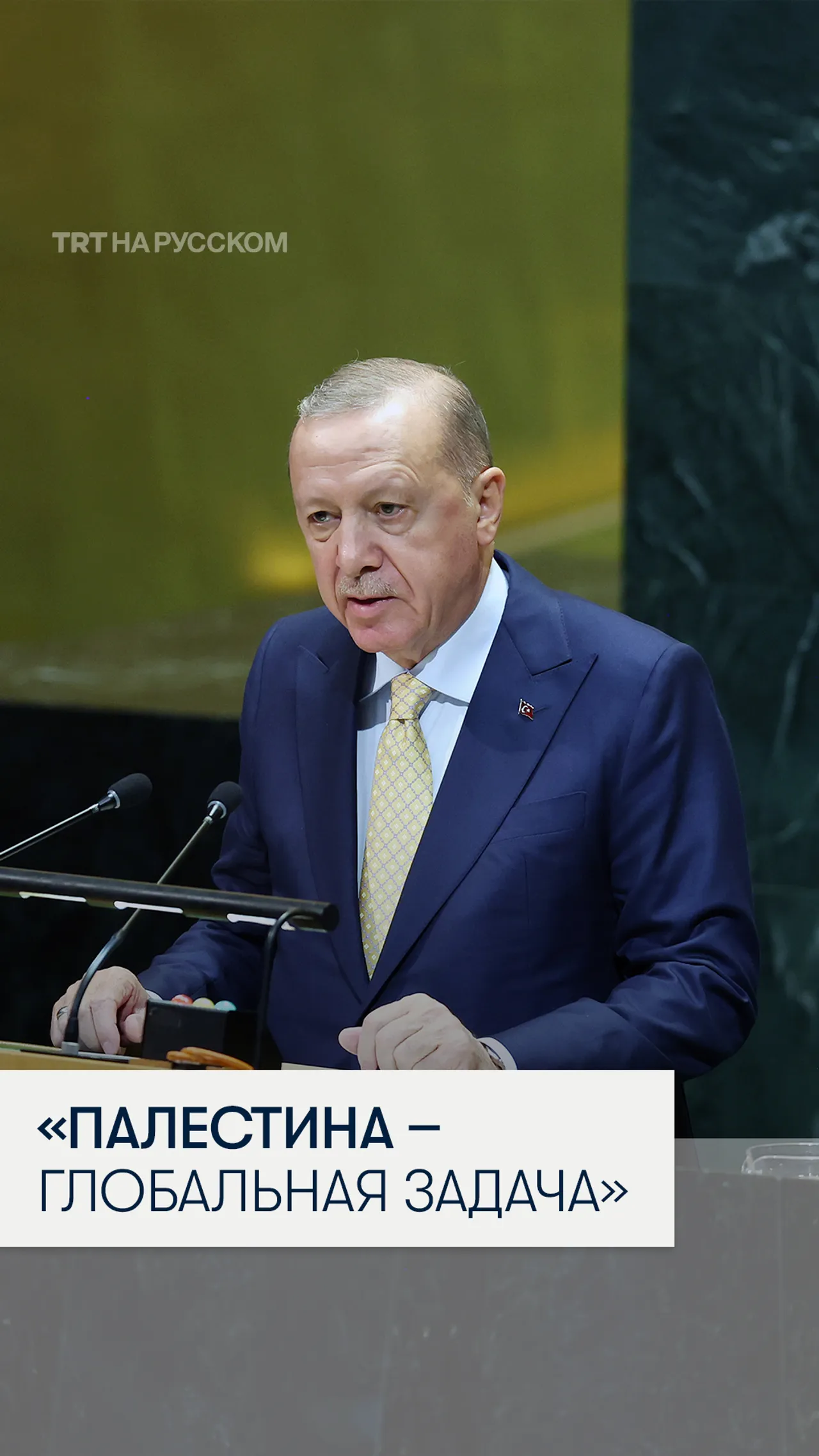 Президент Эрдоган: палестинский вопрос стал общемировым делом