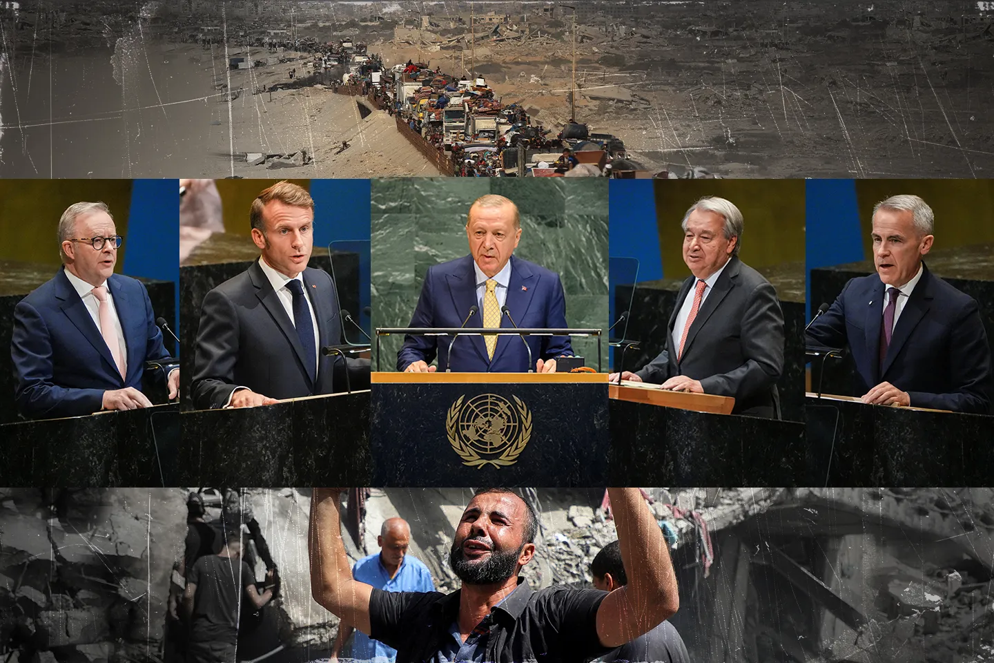 Как Палестина окончательно расколола западный мир