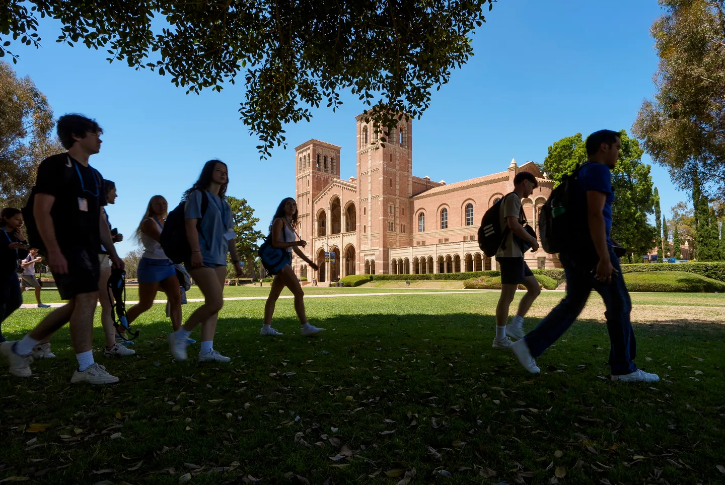 Judge orders Trump administration to reinstate $500 million in frozen UCLA research grants