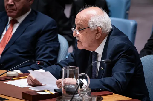 Arab states call for immediate end to Israel's 'genocidal war' on Gaza