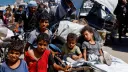 لجنة الإنقاذ الدولية: الأطفال في غزة يواجهون الجوع ويحتاجون إلى حماية عاجلة
