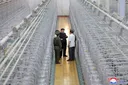 North Korea says denuclearisation is ‘irreversibly’ off the table