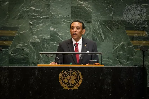 ‘Sudan has bled’: PM Idris urges UN action on RSF's atrocities