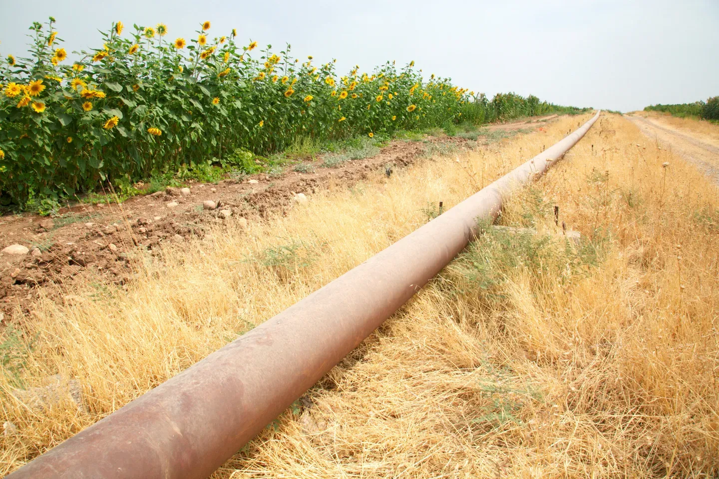 Oil flow resumes on Iraq–Türkiye pipeline