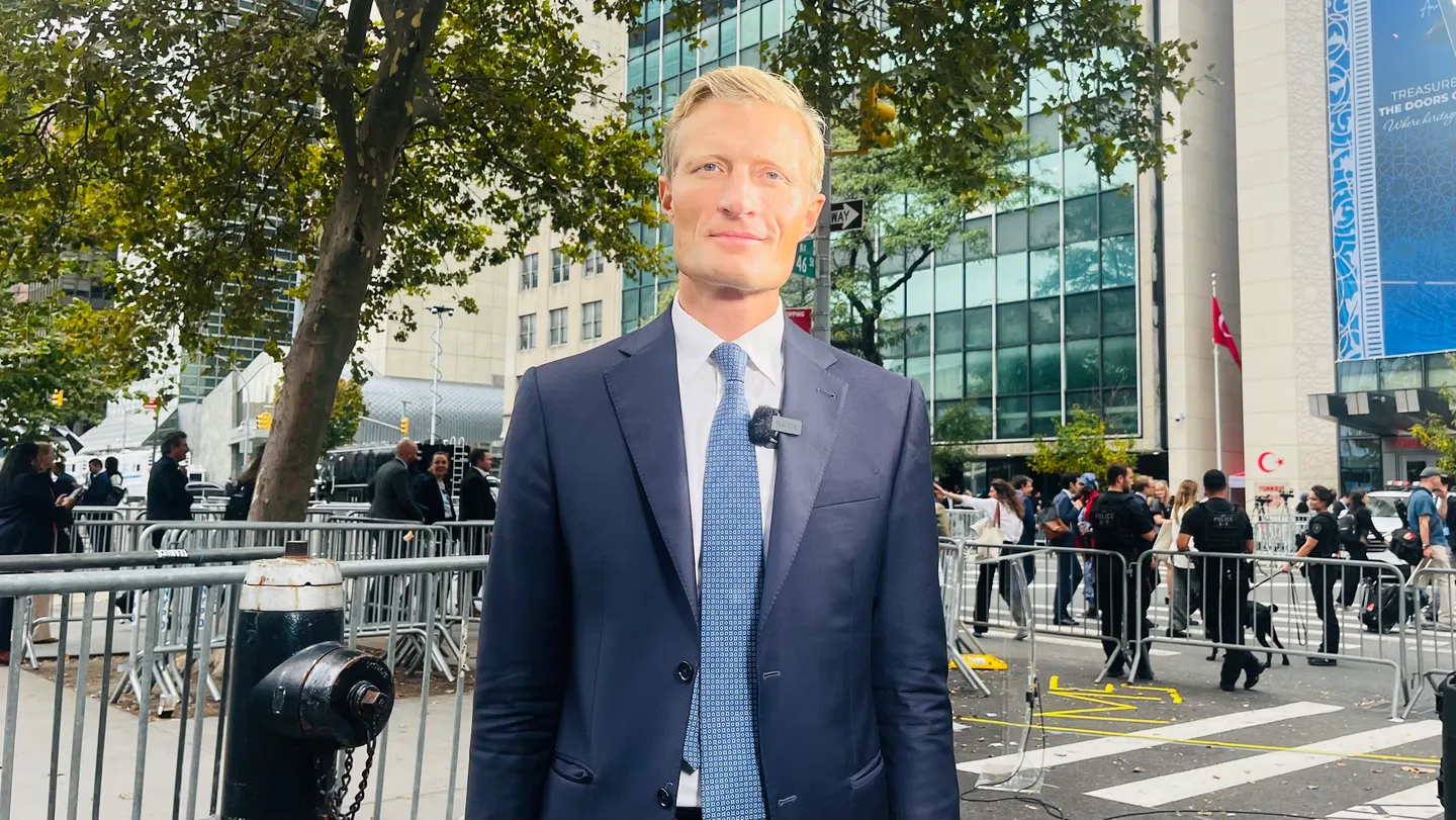 'This is not organised': WFP admits Gaza food aid distribution has collapsed