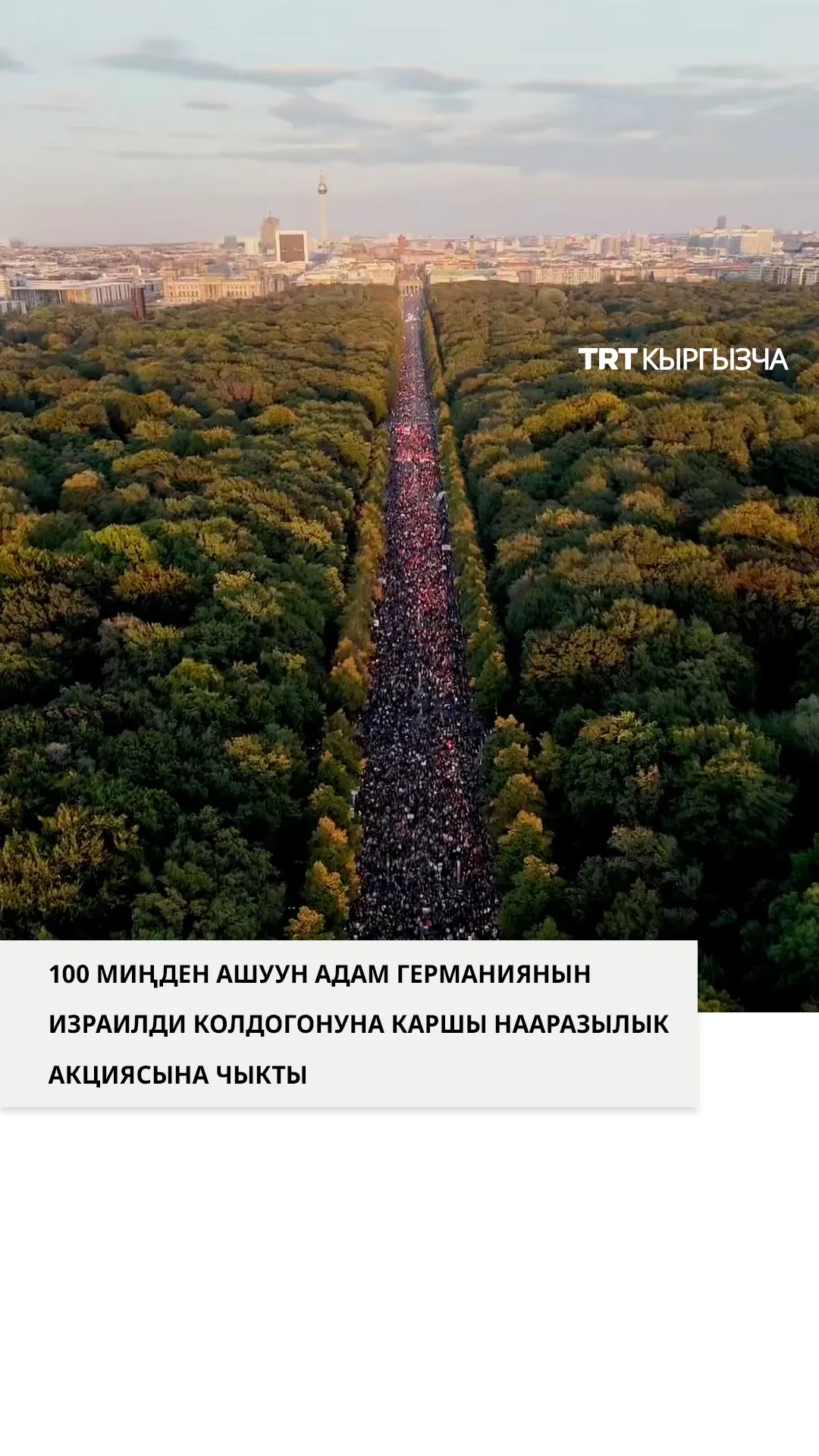 100 миңден ашуун адам Германиянын Израилди колдогонуна каршы нааразылык акциясына чыкты