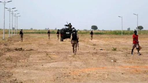 Gunmen kill 12 forest guards in central Nigeria