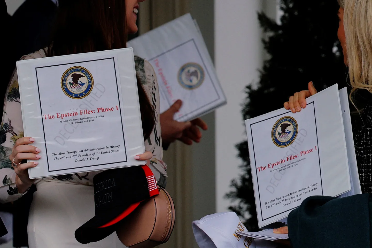 97% of Epstein files released were already public: Democrats