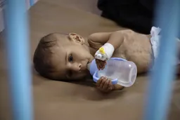 Death toll from Israel's forced starvation of Gaza reaches 367