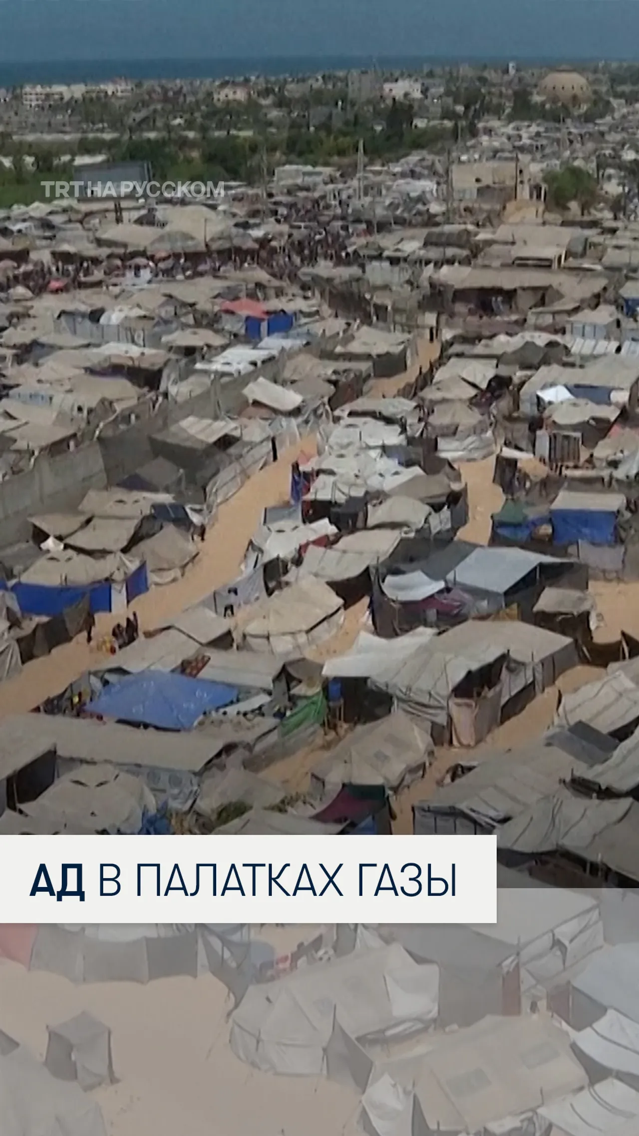Палаточные лагеря в Газе задыхаются от перенаселенности и болезней
