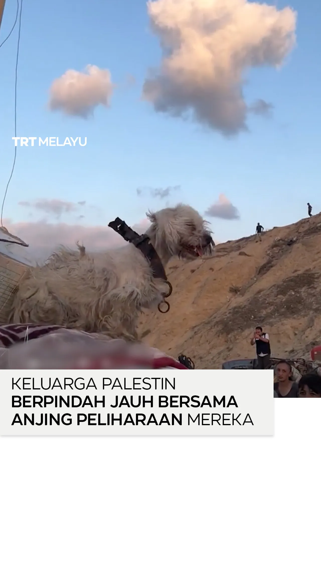 Keluarga Palestin berpindah jauh bersama anjing peliharaan mereka