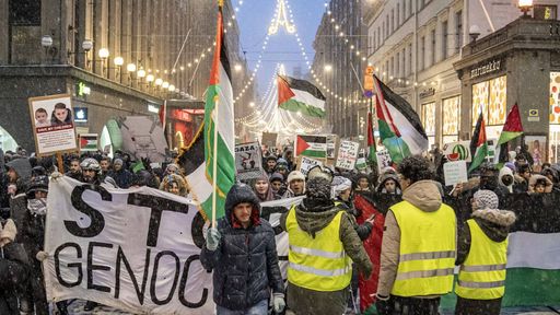فنلندا تنضم إلى "إعلان نيويورك" بشأن حل الدولتين ووقف الحرب في غزة