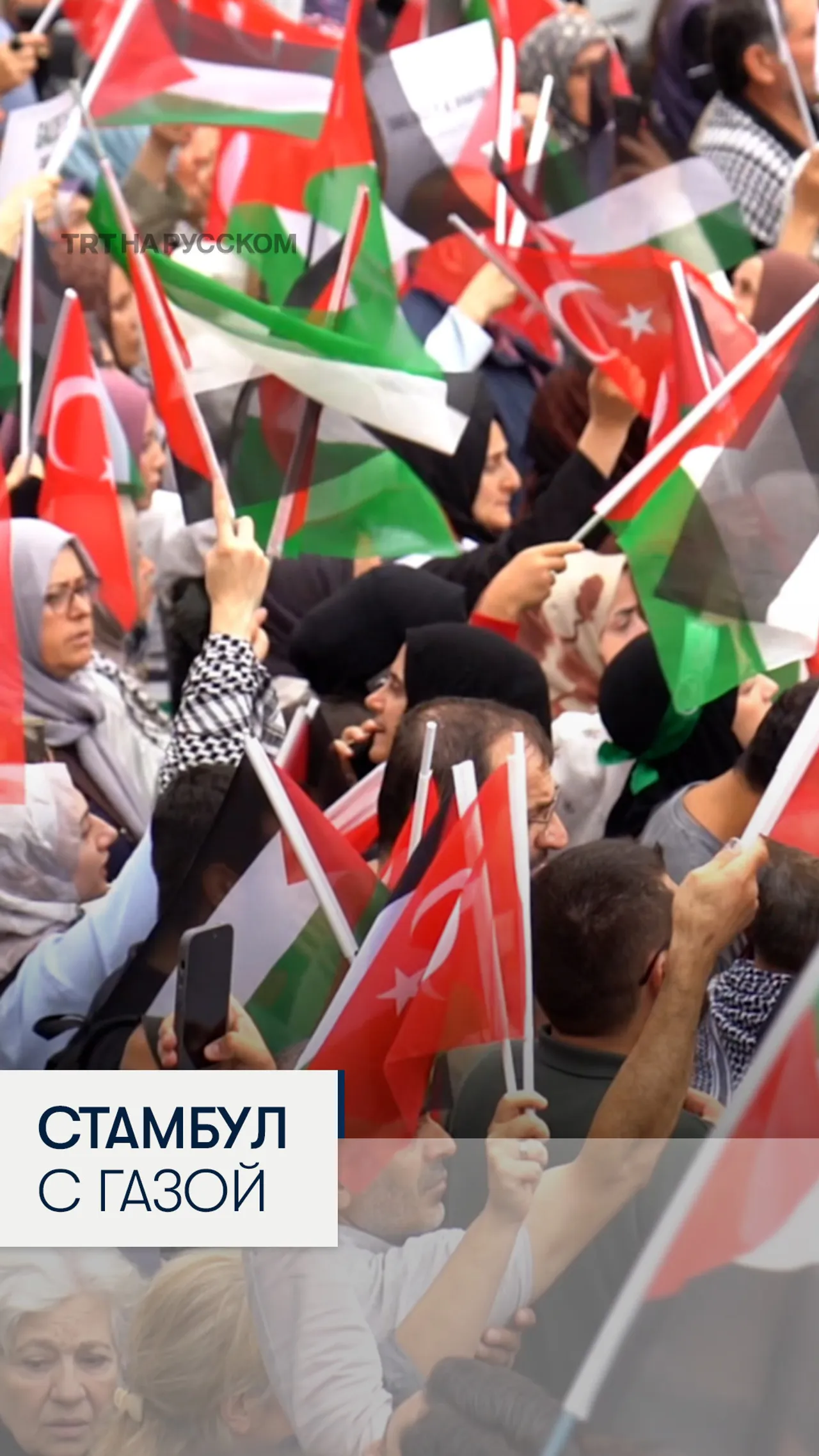 Марш в поддержку флотилии «Сумуд» в Стамбуле