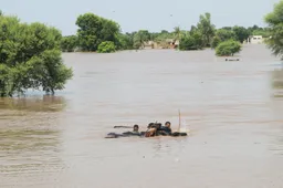 At least five killed as evacuation boat capsized in flood-hit southern Punjab, Pakistan