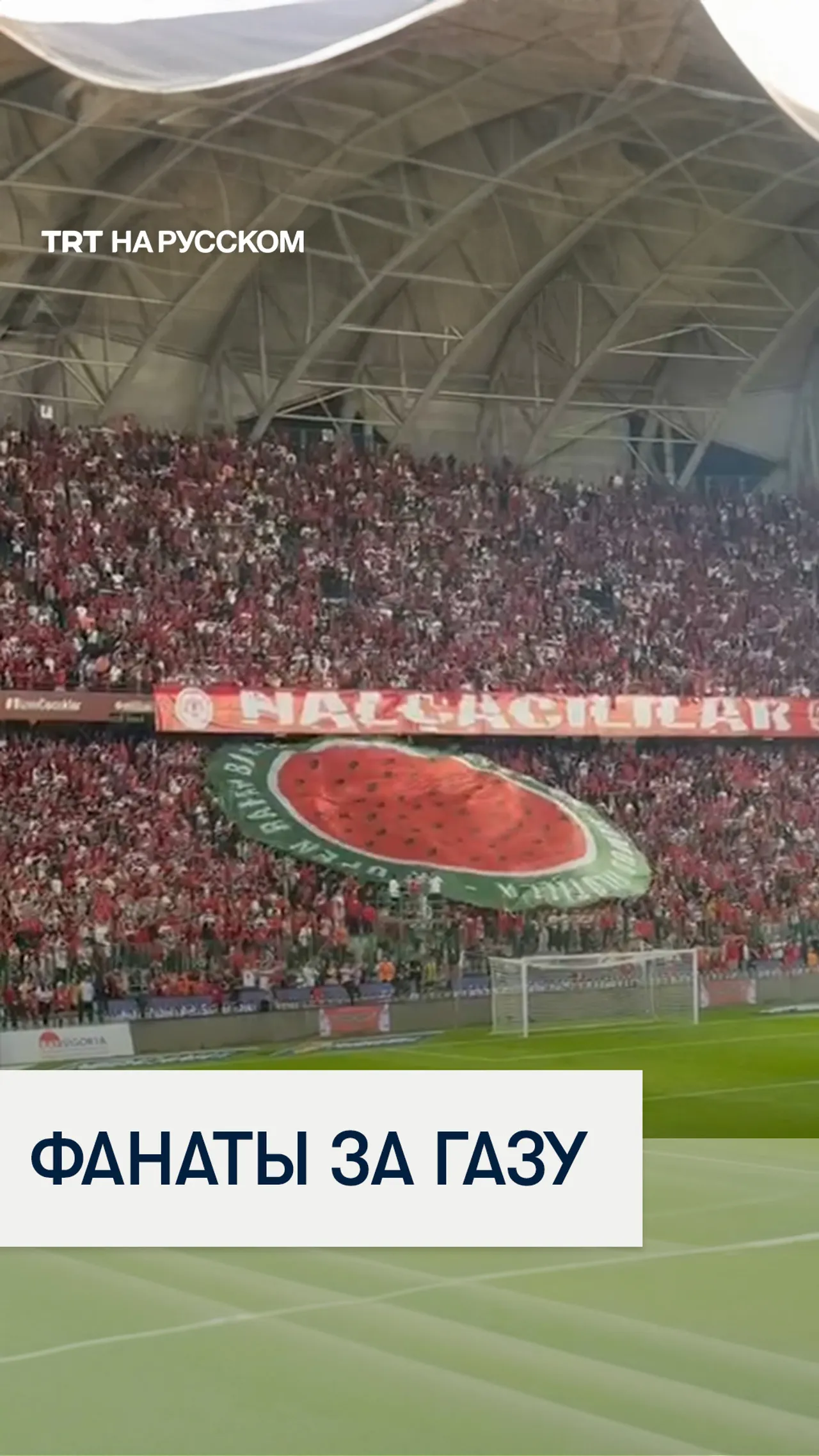 Турецкие фанаты поддержали Газу на матче с Испанией