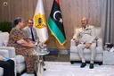 UN envoy holds talks with Libya's Haftar on single interim government