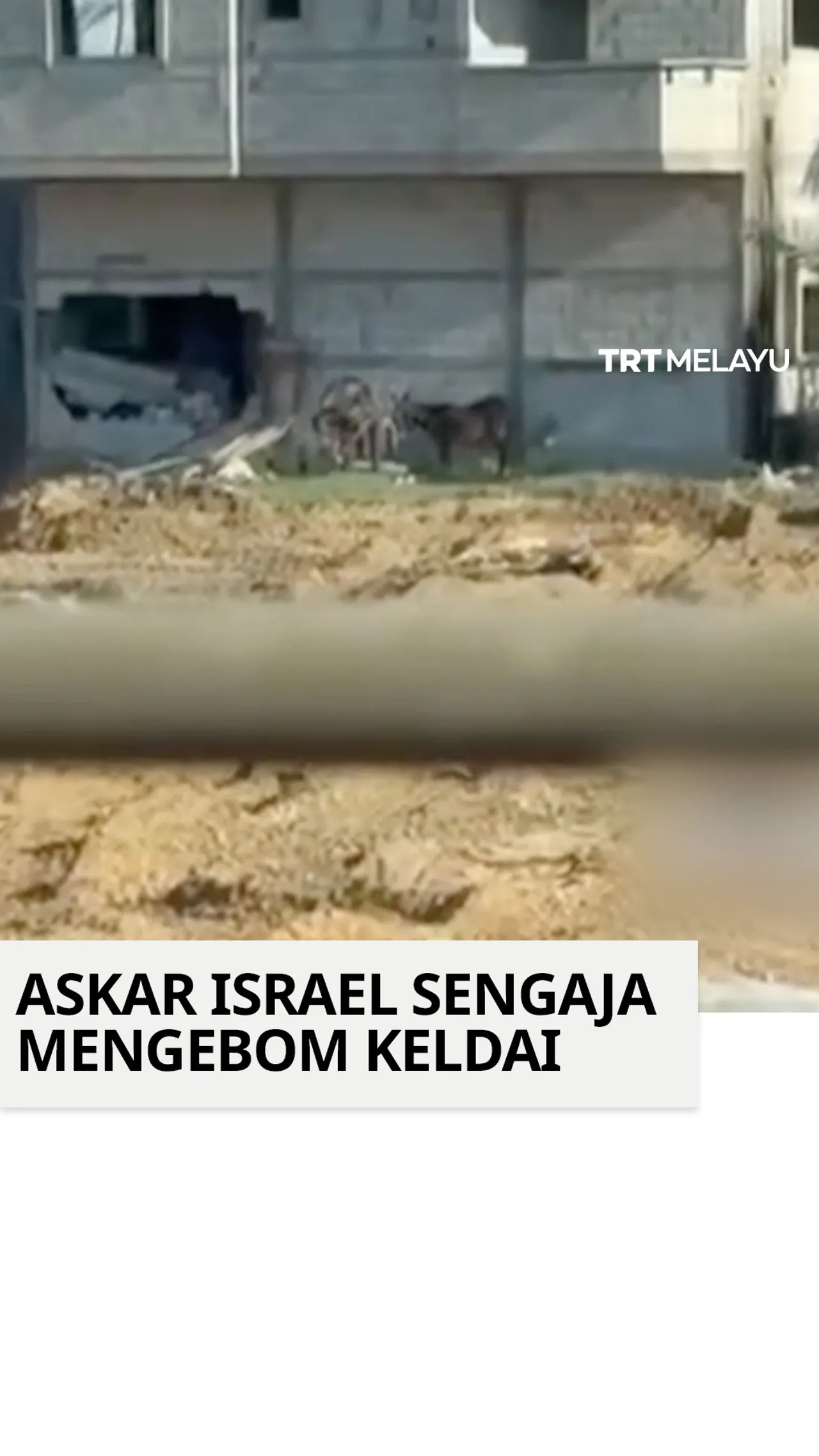 Askar Israel sengaja mengebom keldai
