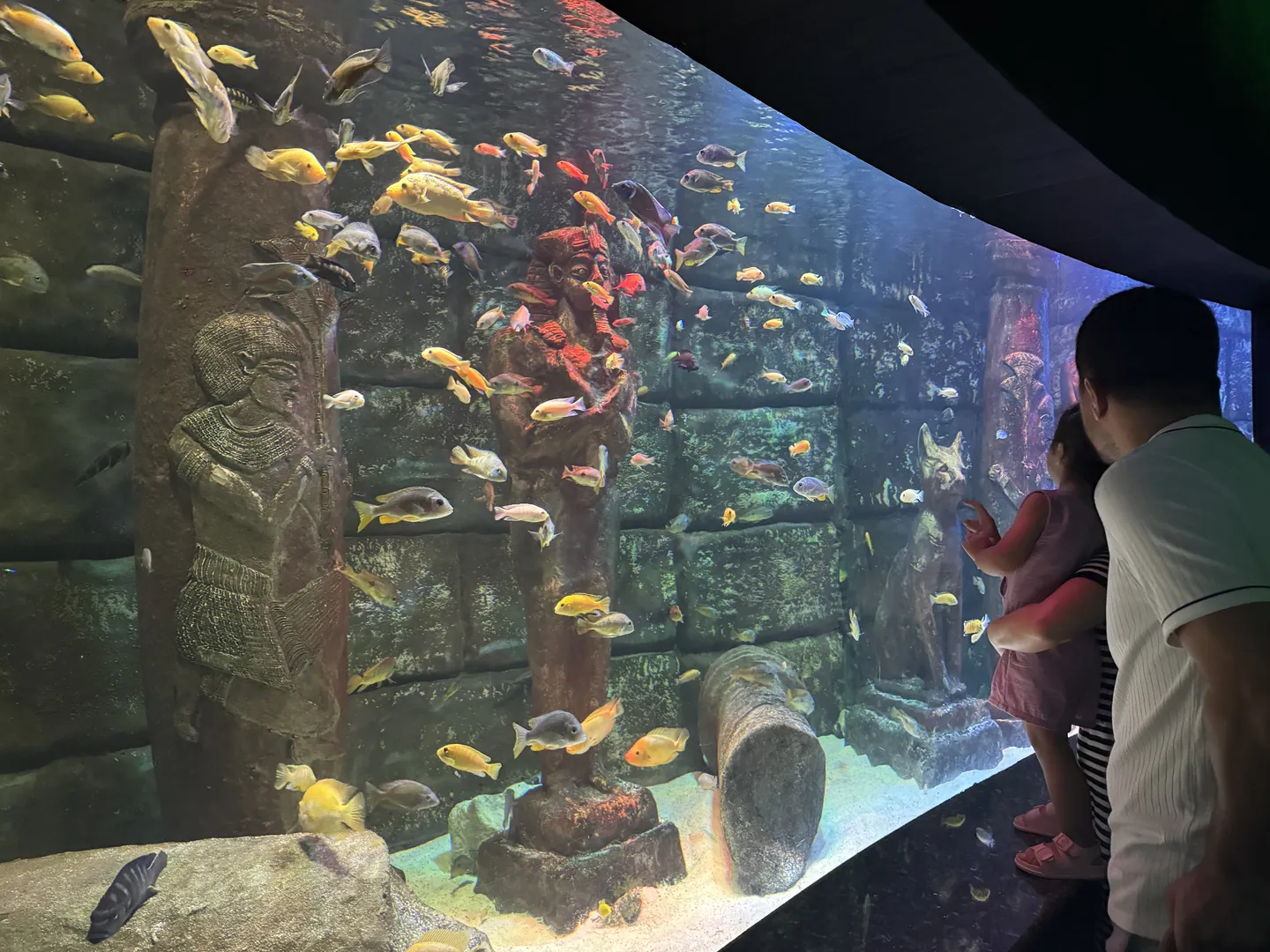 Akuariumi i Antalyas destinacion turistik me praninë e 28 mijë peshqve