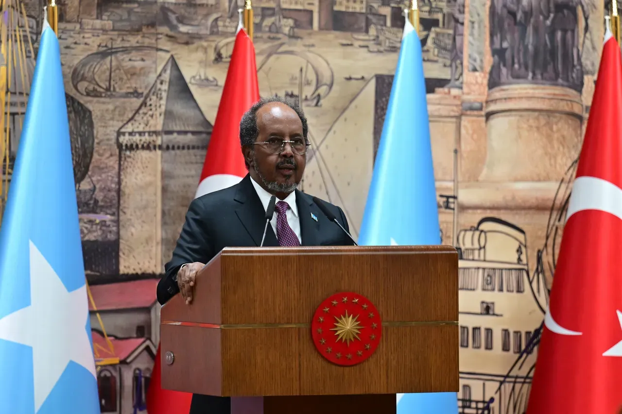 ‘Hatutaki Israel ituletee matatizo,’ rais wa Somalia anasema