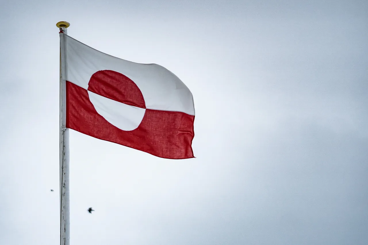 Greenland's political parties: 'We don't want to be Americans'