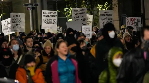 США накрыла волна протестов против ICE