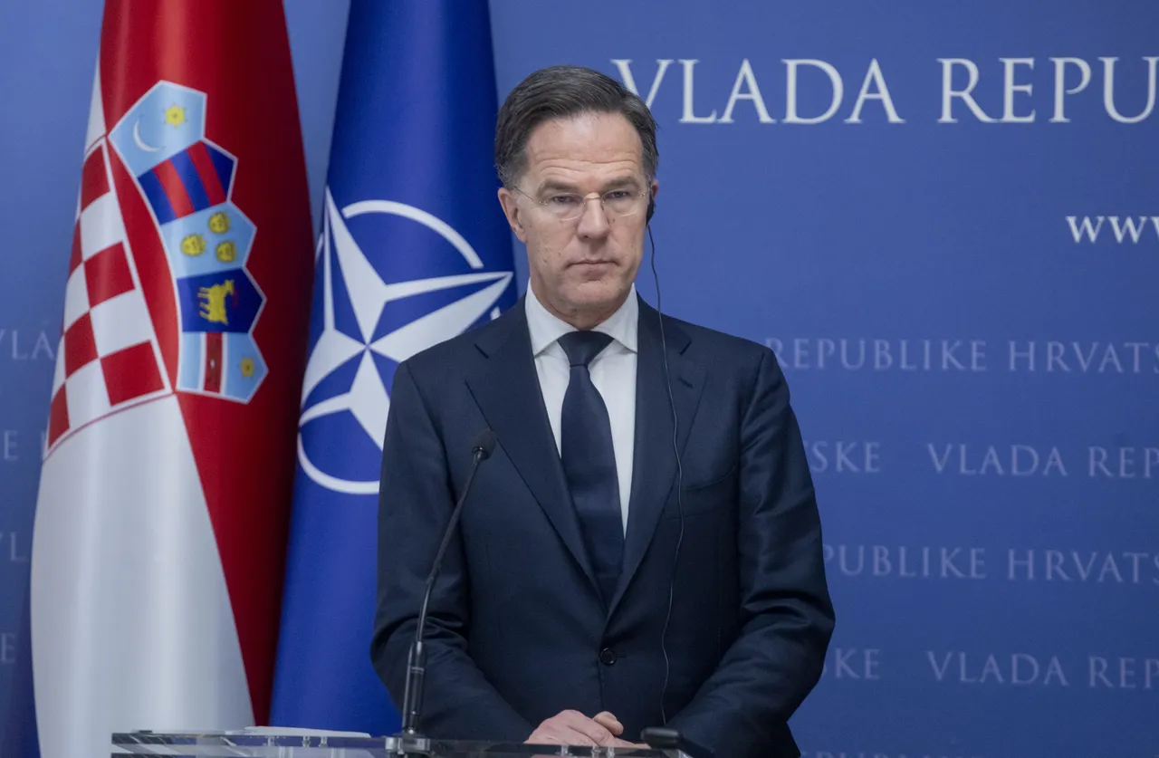 Руте: НАТО разговара за „следните чекори“ за зачувување на безбедноста на Арктикот