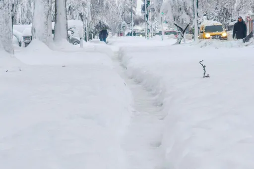 Srbija: Izvanredna situacija u 11 općina, oko 6000 kućanstava bez električne energije