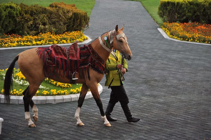 ترکمنستان شعار رسمی سال ۲۰۲۶ خود را تصویب کرد
