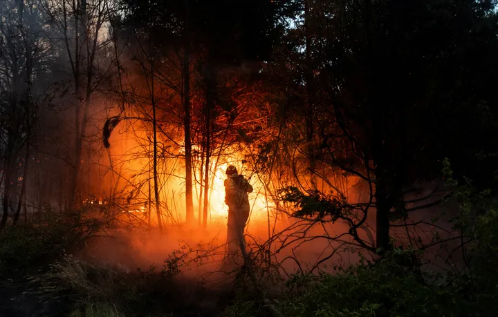 Argentinien: Waldbrände in Patagonien zerstören 15.000 Hektar Fläche