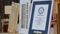 ثبت عسل کاراکوان ترکیه به‌عنوان گران‌ترین عسل جهان در کتاب رکوردهای گینس