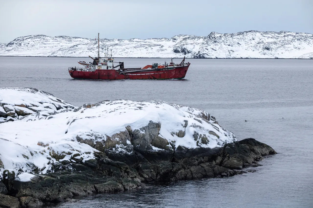 Русија изрази сериозна загриженост за милитаризацијата на Гренланд
