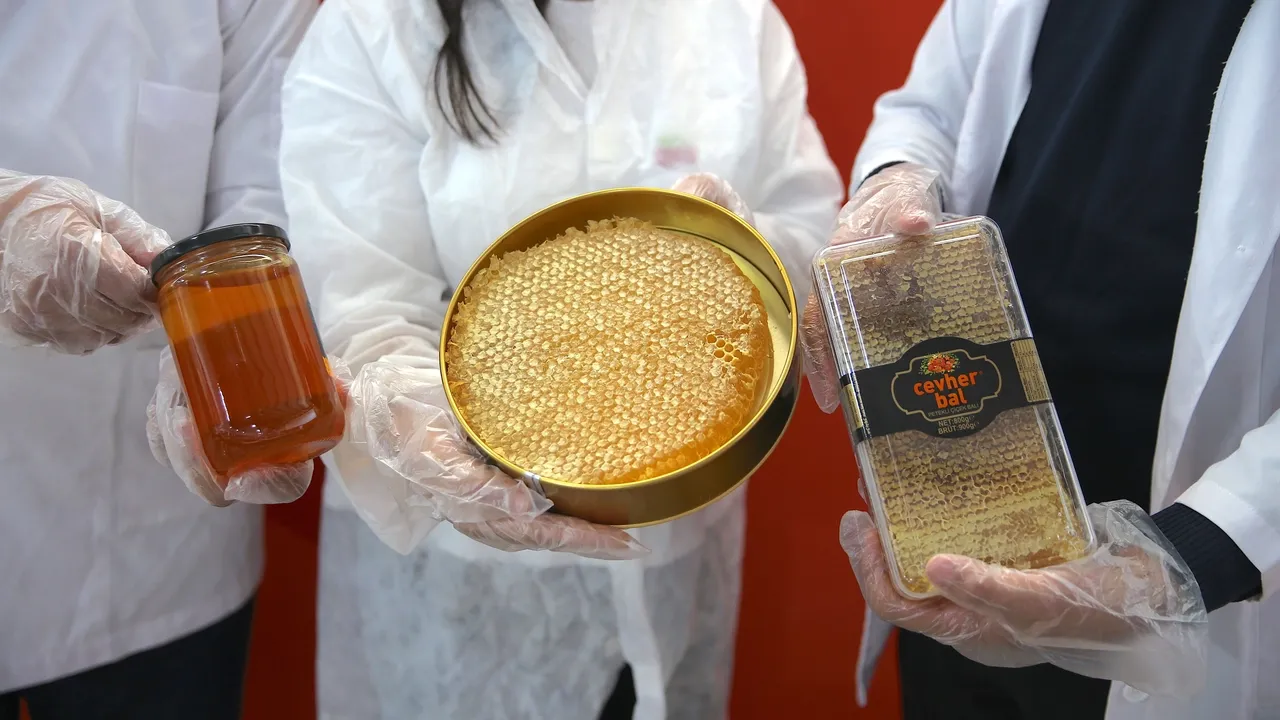 صادرات عسل ترکیه با رشد ۴ درصدی به بیش از ۳۳٫۵ میلیون دلار رسید