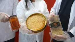 صادرات عسل ترکیه با رشد ۴ درصدی به بیش از ۳۳٫۵ میلیون دلار رسید