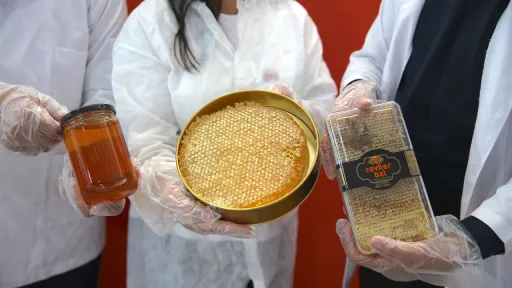 صادرات عسل ترکیه با رشد ۴ درصدی به بیش از ۳۳٫۵ میلیون دلار رسید